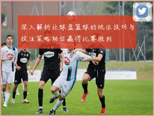 深入解析让球盘篮球的玩法技巧与投注策略助你赢得比赛胜利