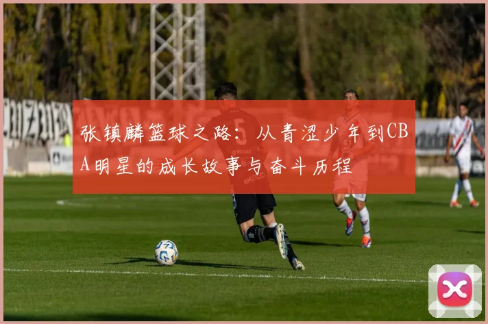 张镇麟篮球之路：从青涩少年到CBA明星的成长故事与奋斗历程