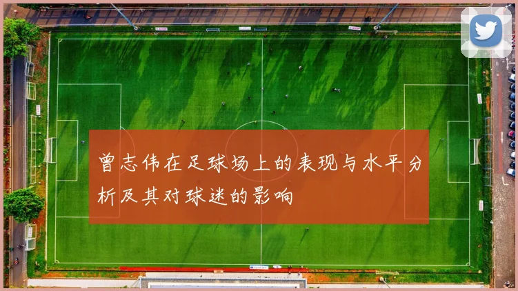 曾志伟在足球场上的表现与水平分析及其对球迷的影响