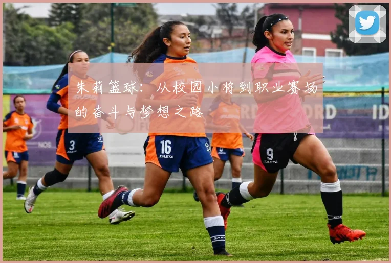 朱莉篮球：从校园小将到职业赛场的奋斗与梦想之路