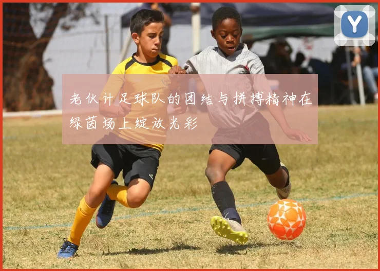 老伙计足球队的团结与拼搏精神在绿茵场上绽放光彩