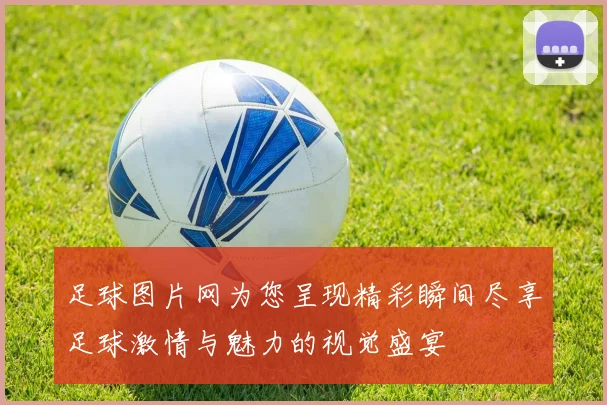 足球图片网为您呈现精彩瞬间尽享足球激情与魅力的视觉盛宴