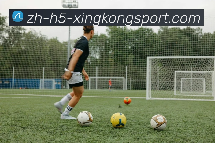 星空体育发展历程